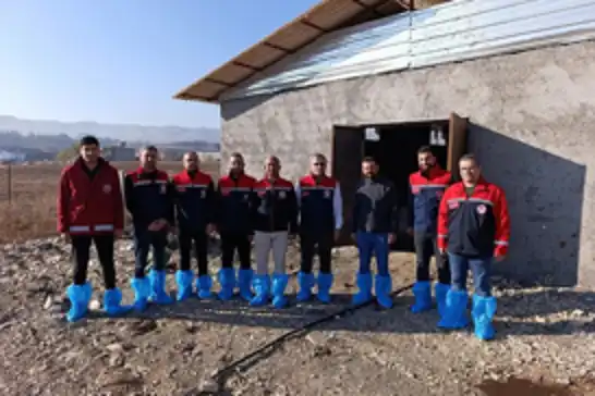 Siirt’te üreticiye destek amaçlı 48 angus gebe düve teslim edildi