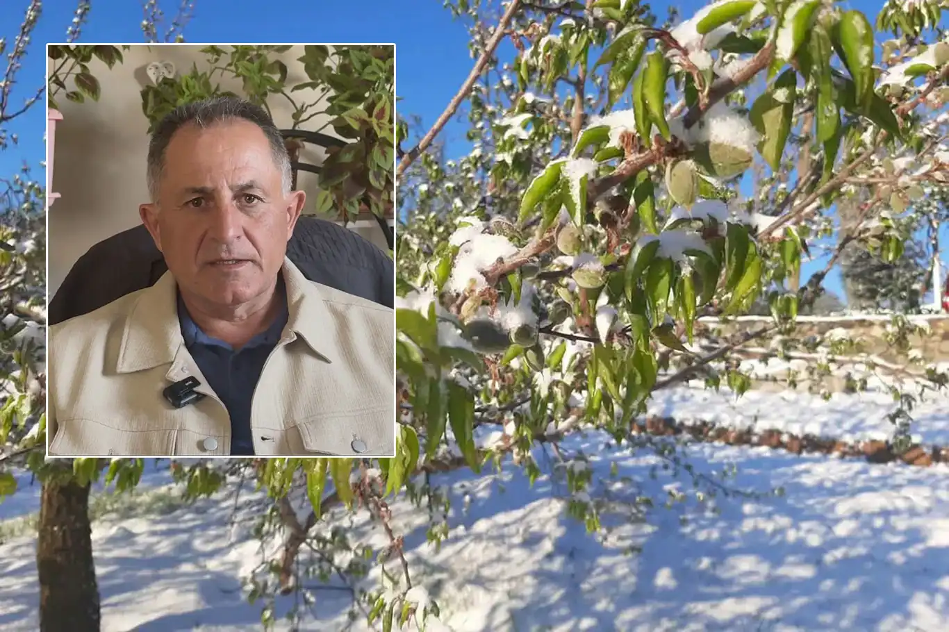 Darende'de don desteği çıkmazı: Çiftçiler ödemelerdeki karmaşaya tepkili