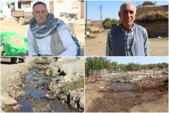 Diyarbakır’ın Dedeköy Mahallesi'ndeki altyapı sorunu hastalık saçıyor