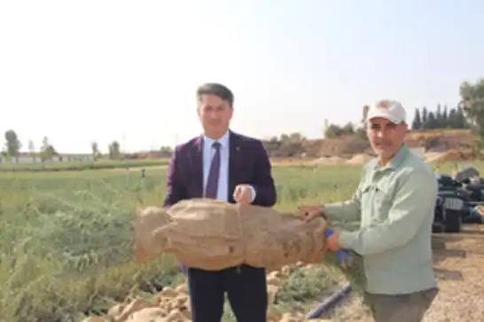 Mardin’de yaklaşık bir yılda üretilen 2 milyon tuz çalısı fidanı, 15 ile gönderiliyor