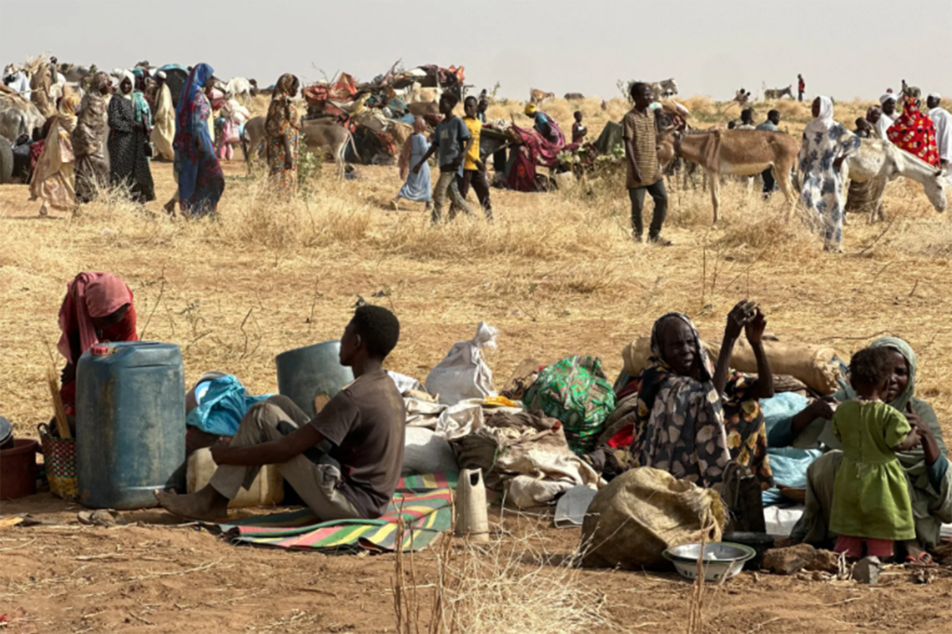 UN experts accuse Sudan’s RSF of “mass atrocities” in El Fasher