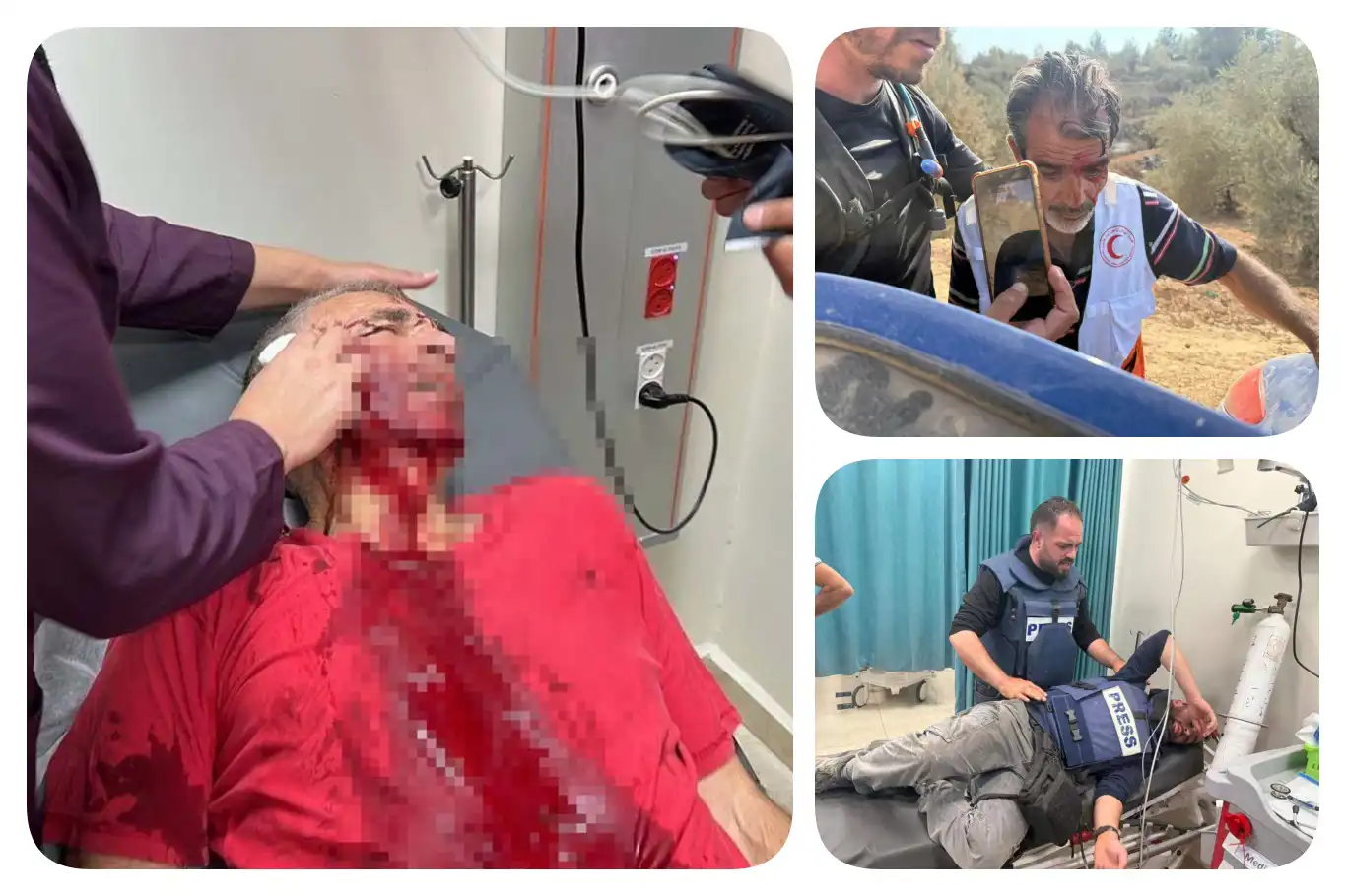 Five injured as Israeli settlers assault olive harvesters in occupied West Bank