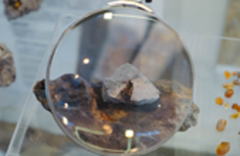 روسيا.. العثور على كهرمان عمره 100 مليون سنة