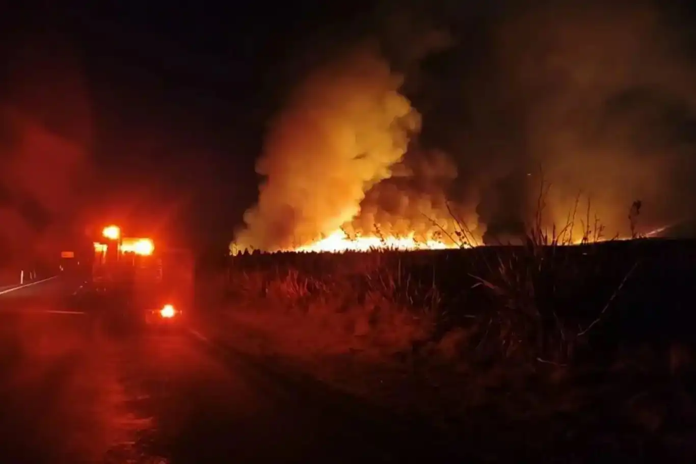 حرائق في حديقة تونغاريرو الوطنية في نيوزيلندا تلتهم 1800 هكتار