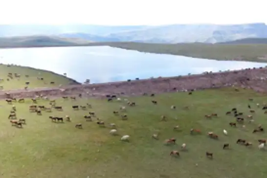 Erzurum’da gölet yapımıyla hayvancılığa destek sağlanıyor