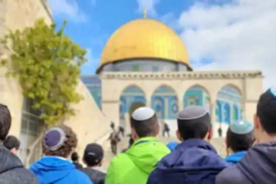 تحت حماية قوات الاحتلال..عصابات المستوطنين تواصل اقتحاماتها الدنيئة للمسجد الأقصى