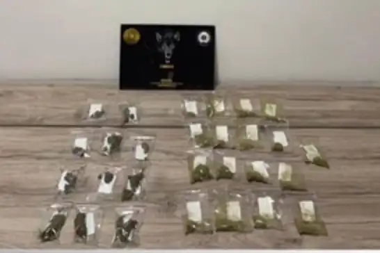 Bingöl’de uyuşturucu operasyonu: 1 şüpheli tutuklandı