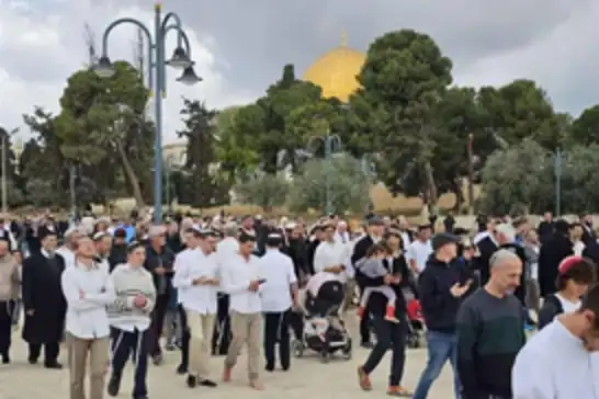 "Hanuka" bahanesiyle 8 gün boyunca Mescid-i Aksa'ya baskın hazırlığı