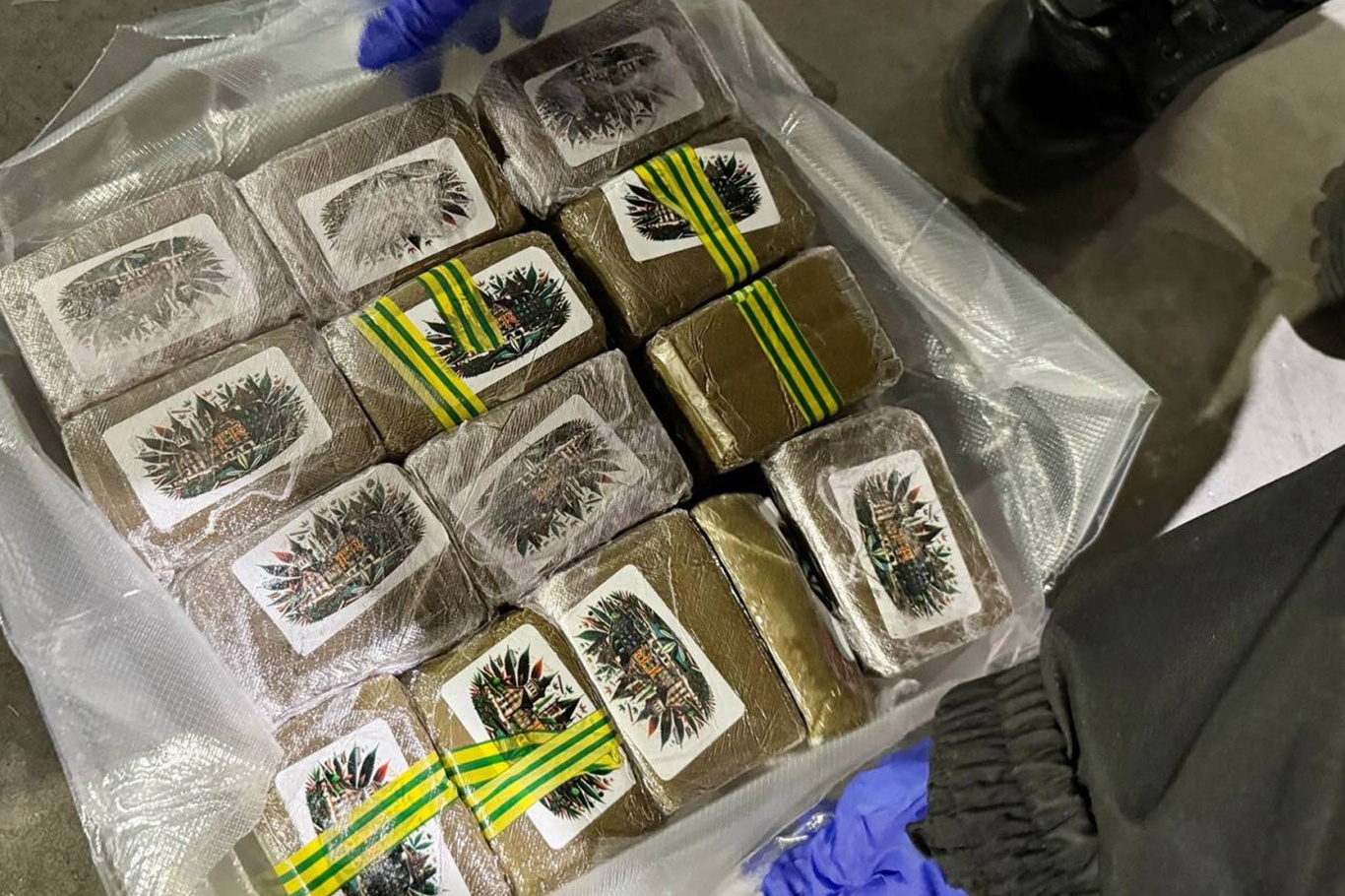 Belarus gümrüğü, AB'den Rusya'ya giden ve 1,3 ton uyuşturucu taşıyan bir kamyonu ele geçirdi.