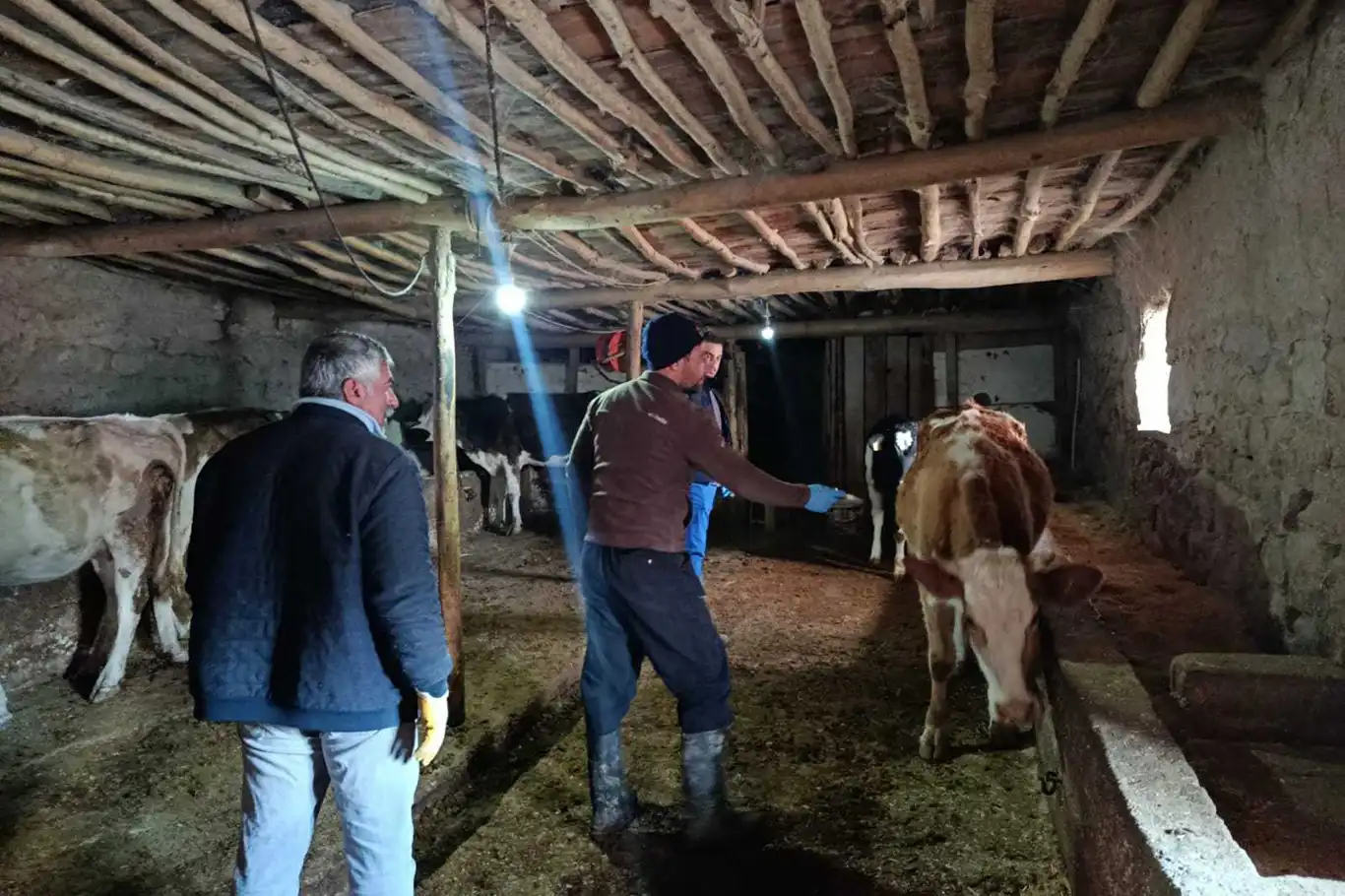 Konya’nın ilçelerinde şap ve brusella aşılamaları sürüyor