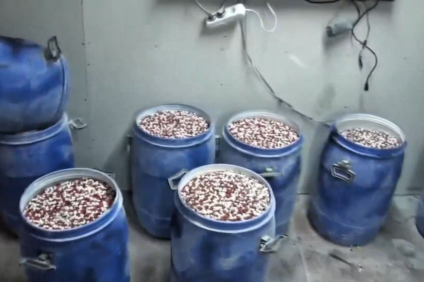 İstanbul ve İzmir'de uyuşturucu operasyonu: Milyonlarca hap ele geçirildi