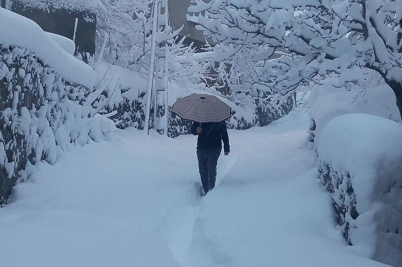 Pazartesi günü 21 ilde kar bekleniyor