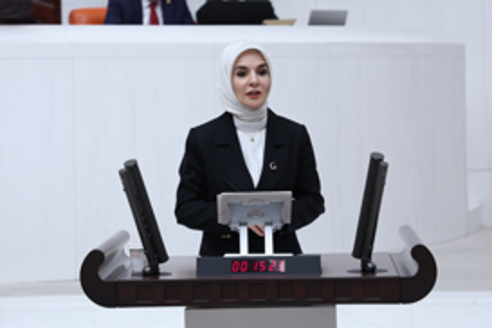 Aile ve Sosyal Hizmetler Bakanı Göktaş, TBMM Genel Kurulunda bakanlığının 2026 yılı bütçesini sundu