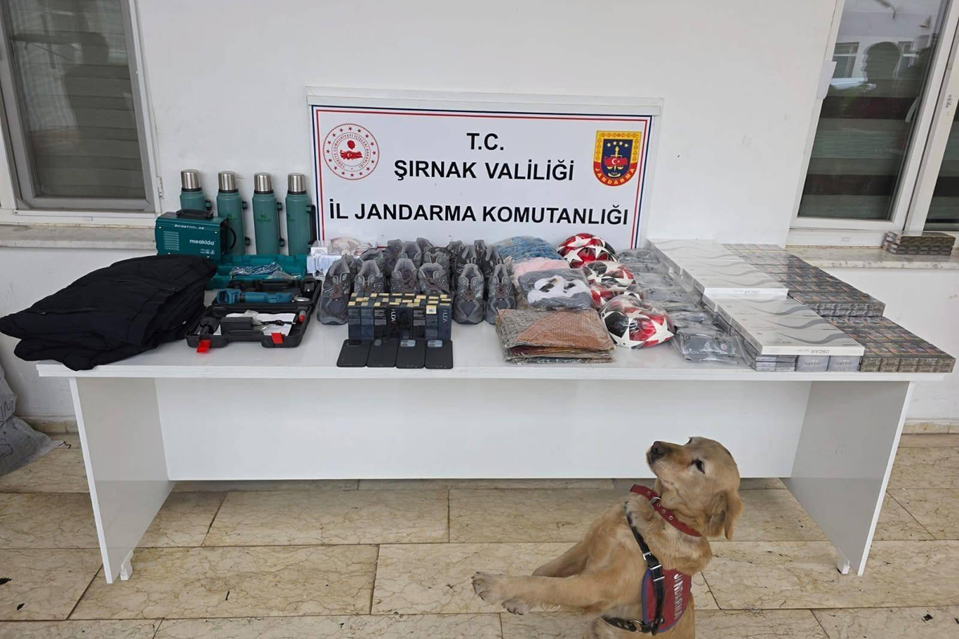 Şırnak'ta asayiş operasyonları: 117 gözaltı