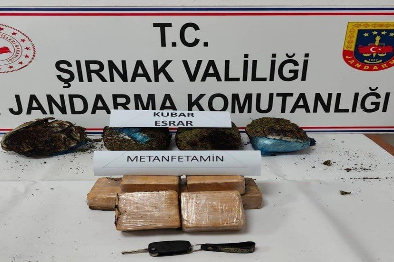 Şırnak'ta asayiş operasyonları: 117 gözaltı