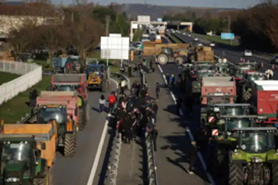 Fransa'da hayvanların itlafı çiftçi protestolarına yol açtı