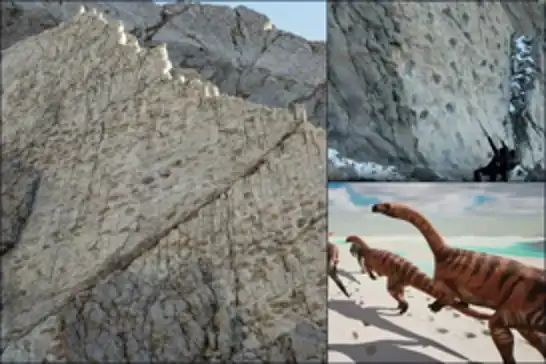 Thousands of dinosaur footprints discovered on Italian mountain