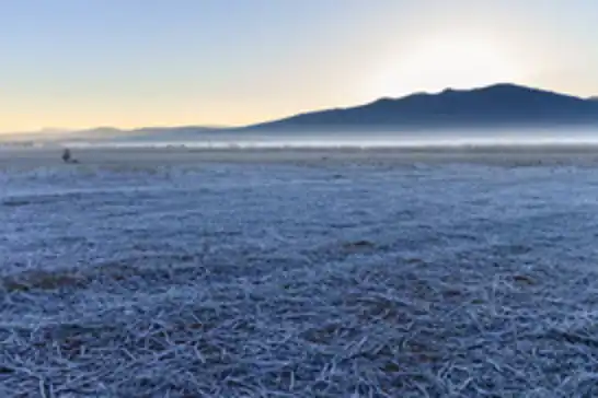 Konya AKOM’dan çiftçilere zirai don uyarısı