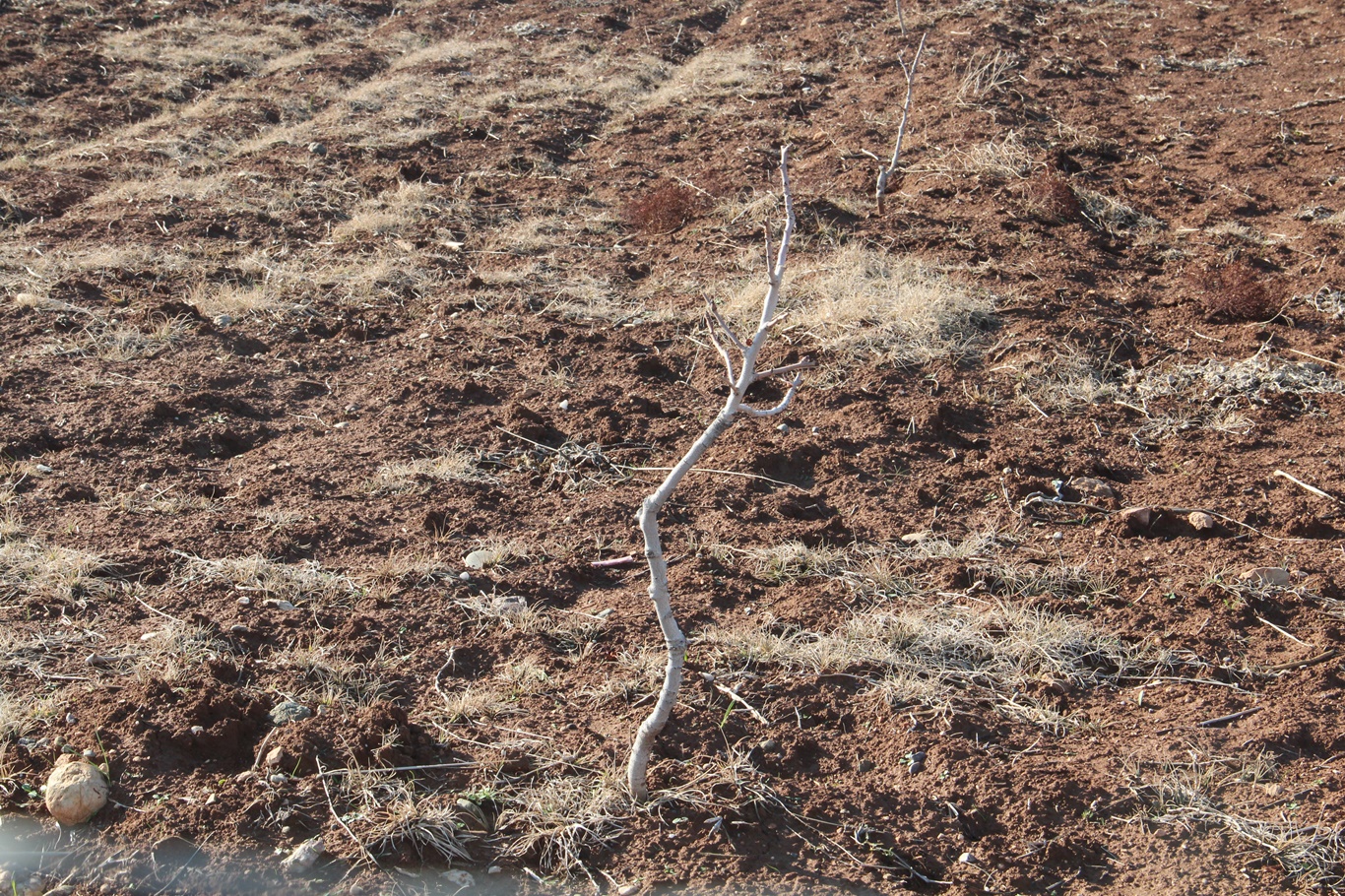 Köylülerden usulsüz arazi satışı iddiası: 70 yıllık tarlalarımız başkalarına verildi