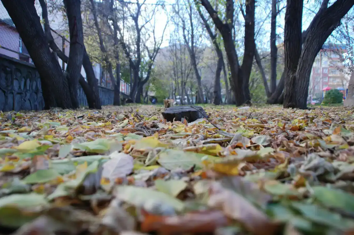 Wê li giştîyê welat şilî tinebe