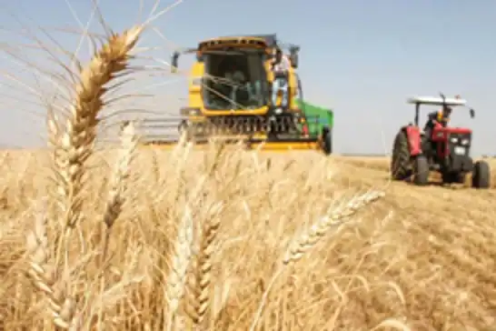 ​​​​​​​Güneydoğu'da hububat sektörü ihracatı 3,2 milyar dolar olarak gerçekleşti