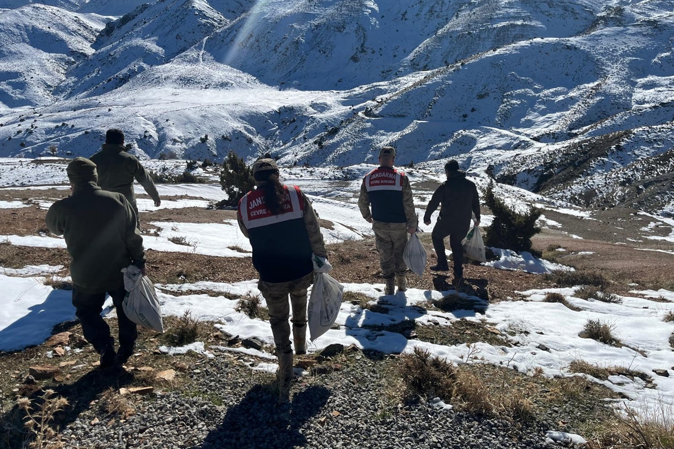  Siirt’te zorlu kış şartlarında yaban hayvanları için doğaya yem bırakıldı