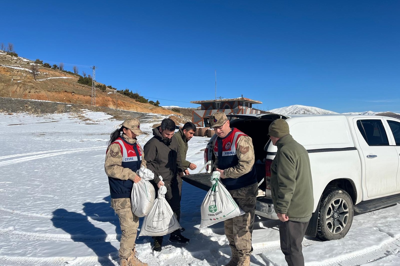  Siirt’te zorlu kış şartlarında yaban hayvanları için doğaya yem bırakıldı