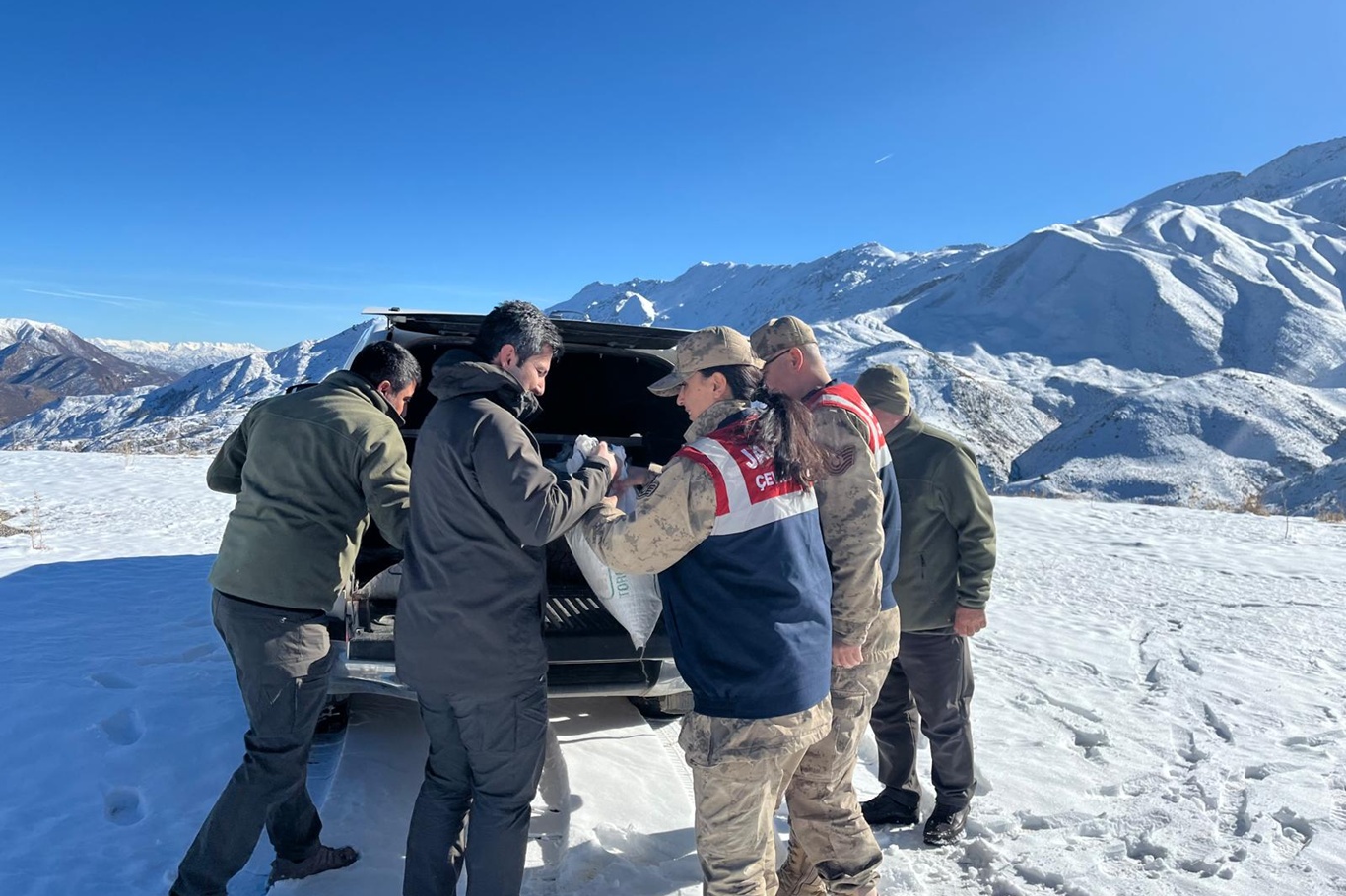  Siirt’te zorlu kış şartlarında yaban hayvanları için doğaya yem bırakıldı