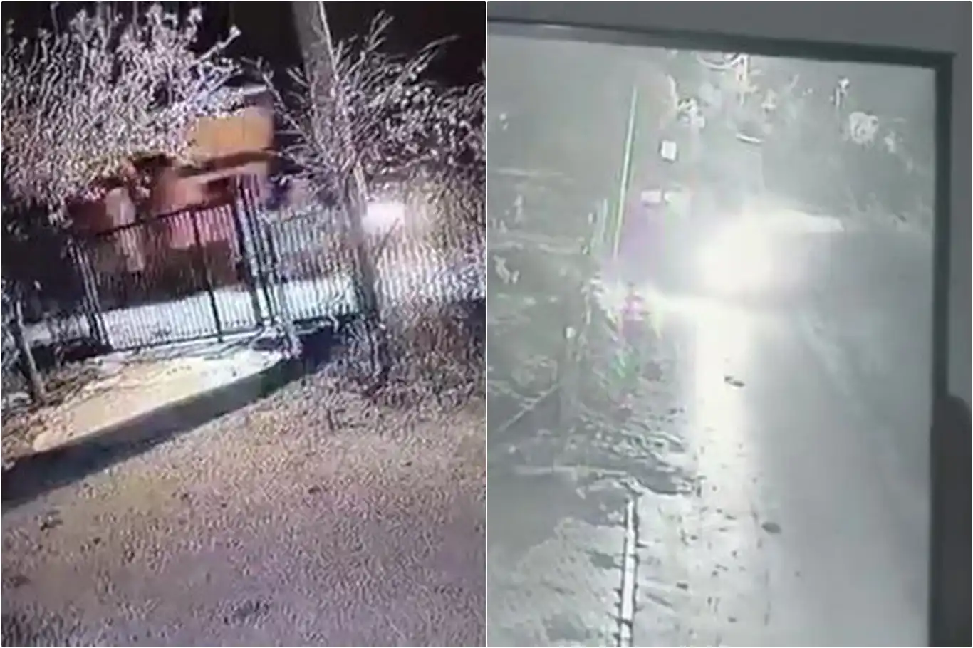 Bursa'da çalınan Tiny House’un kamera görüntüleri ortaya çıktı