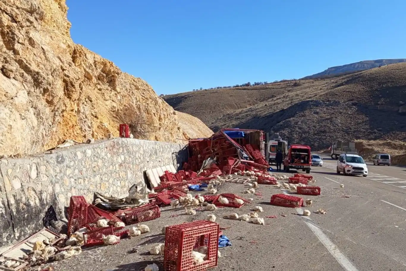 Tavuk yüklü kamyon devrildi: Yüzlerce hayvan telef oldu, sürücü yaralandı