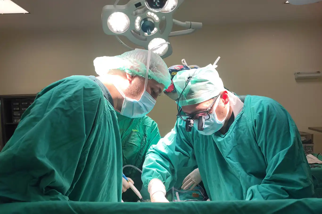 TÖTM'den bir dünya başarısı daha: 11 ayda 149'u çapraz 308 karaciğer nakli gerçekleştirildi