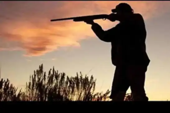 Yaban keçisi avlayan 2 kişiye 970 bin 827 lira ceza uygulandı