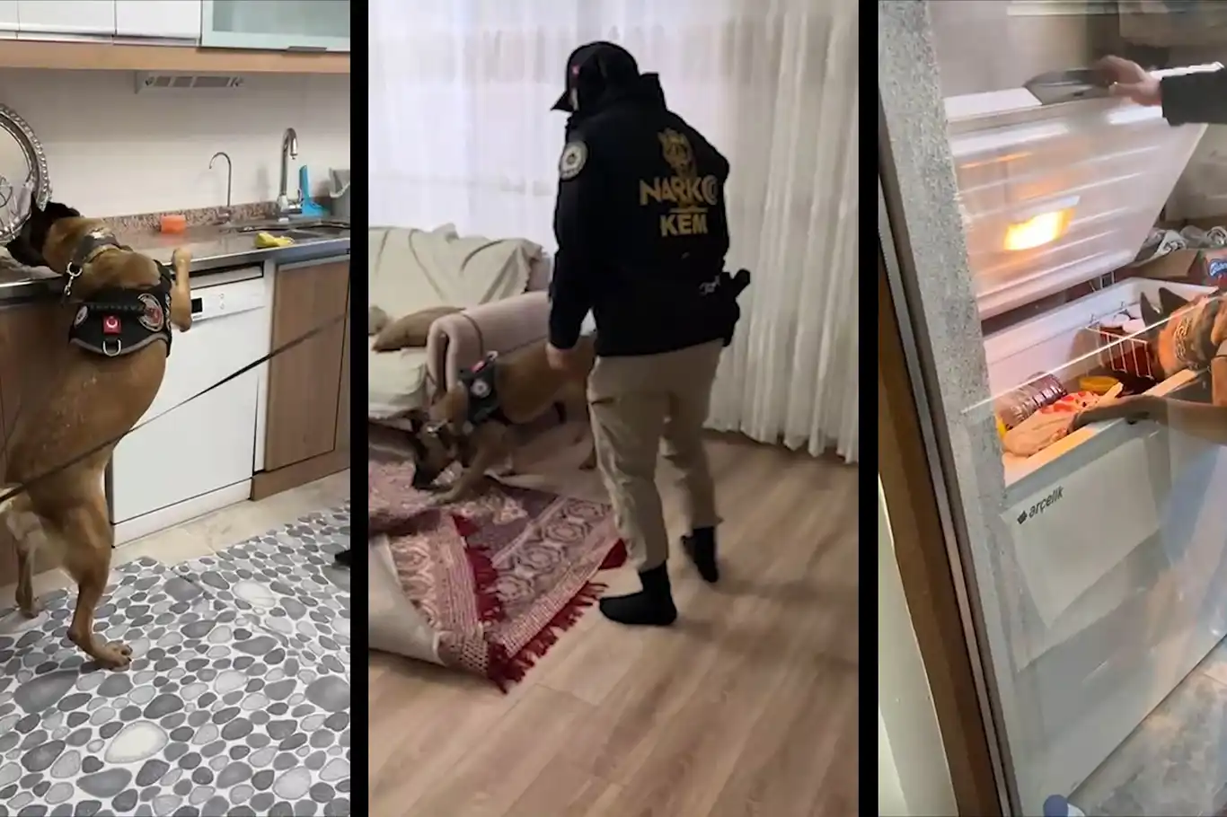 Şırnak’ta uyuşturucu satıcılarına şafak operasyonu: 20 gözaltı