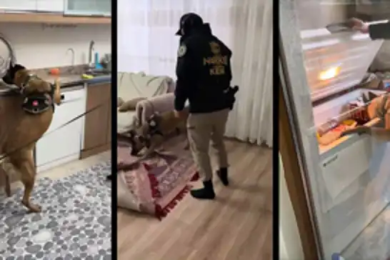 Şırnak’ta uyuşturucu satıcılarına şafak operasyonu: 20 gözaltı