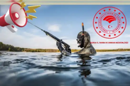 Amatör balıkçılar için sualtı avcılığında yeni zorunluluk