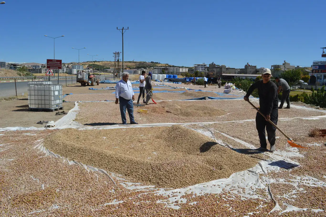  Dr. Öğr. Üyesi Atlı: Siirt fıstığı Türkiye’nin ihracat dengelerini değiştirebilir