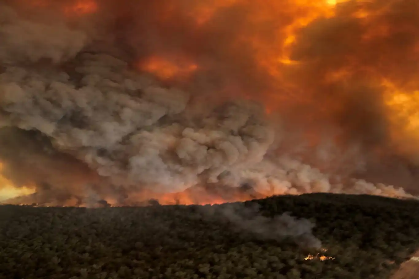 Avustralya'da 50'den fazla orman yangını çıktı
