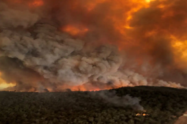 Thousands flee as ferocious wildfires ravage Australia’s New South Wales