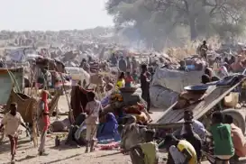 سازمان بین‌المللی مهاجرت: مهاجرت از کردفان به دلیل تخلفات نیروهای حمایت سریع در حال افزایش است