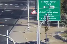 Dîmenê serokê nû yê Mossadê ku ji Tûgayên Qessam direve dîsa bû rojev