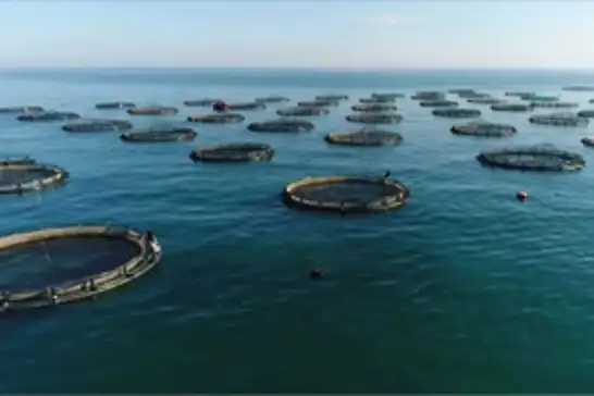 Su ürünleri avcılığı sözleşmeli üretim kapsamına alındı