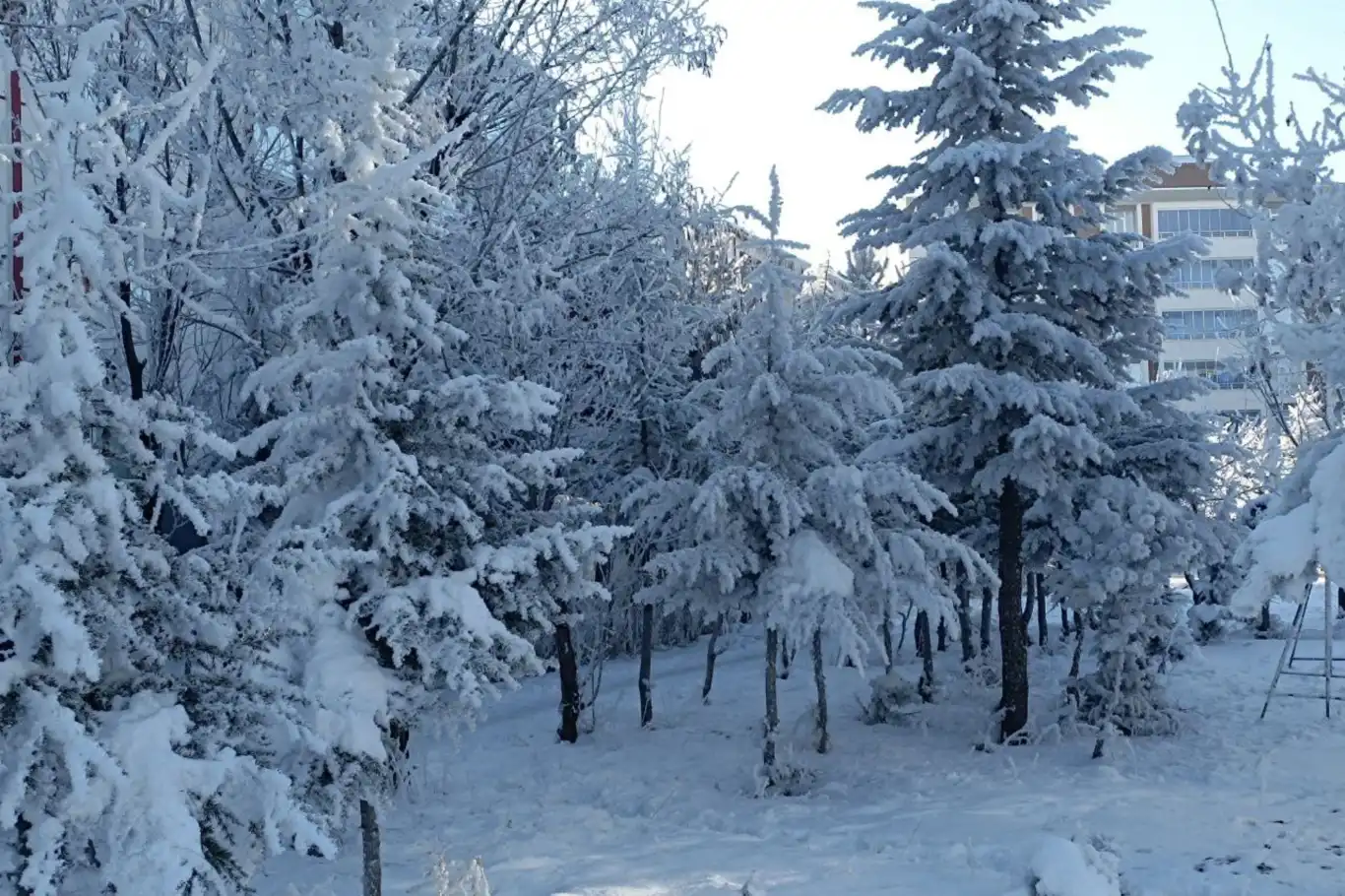 Karadeniz’de kuvvetli kar sağanağı uyarısı Karadeniz’de kuvvetli kar sağanağı uyarısı