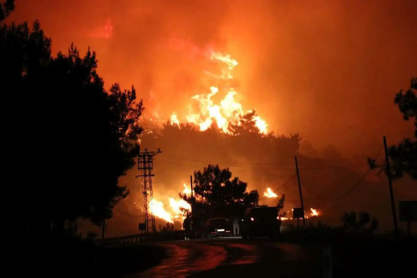 Manisa'da orman yangını 