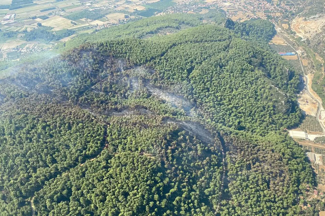 Muğla'da yangın riski nedeniyle ormanlara giriş yasağı Muğla'da yangın riski nedeniyle ormanlara giriş yasağı