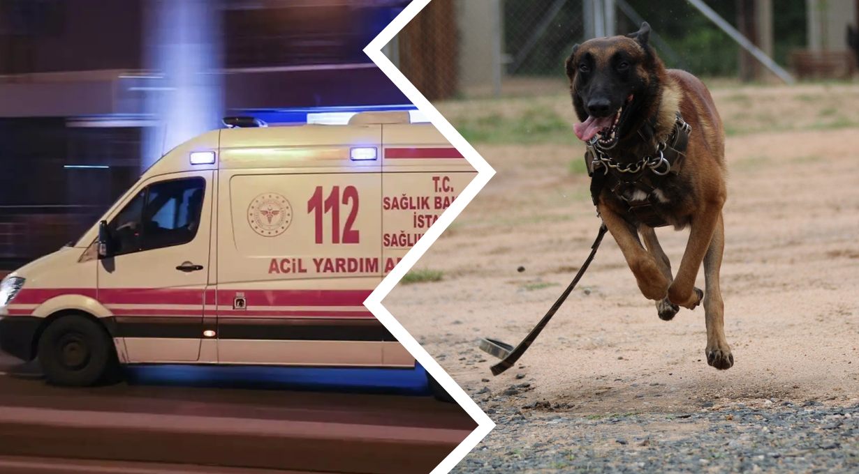 Antalya’da köpekten kaçan çocuğa motosiklet çarptı Antalya’da köpekten kaçan çocuğa motosiklet çarptı