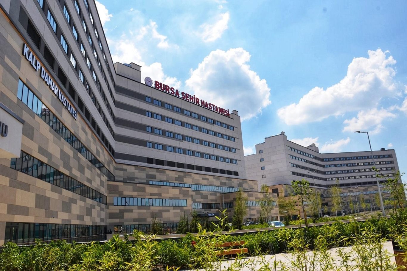 "Hemofilide erken teşhis ve düzenli tedavi hayat kurtarıyor" "Hemofilide erken teşhis ve düzenli tedavi hayat kurtarıyor"