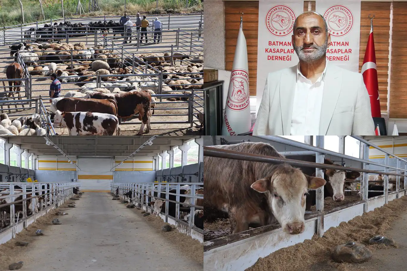Batmanlı besiciler hayvancılık OSB'sini bekliyor Batmanlı besiciler hayvancılık OSB'sini bekliyor