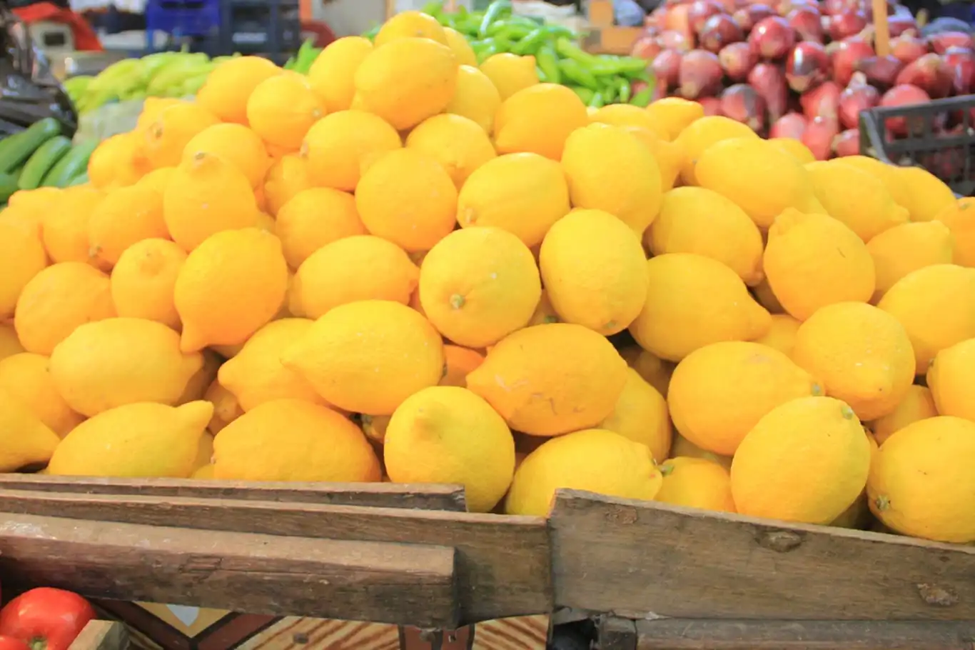 Limon ihracatı geçici olarak durduruldu Limon ihracatı geçici olarak durduruldu