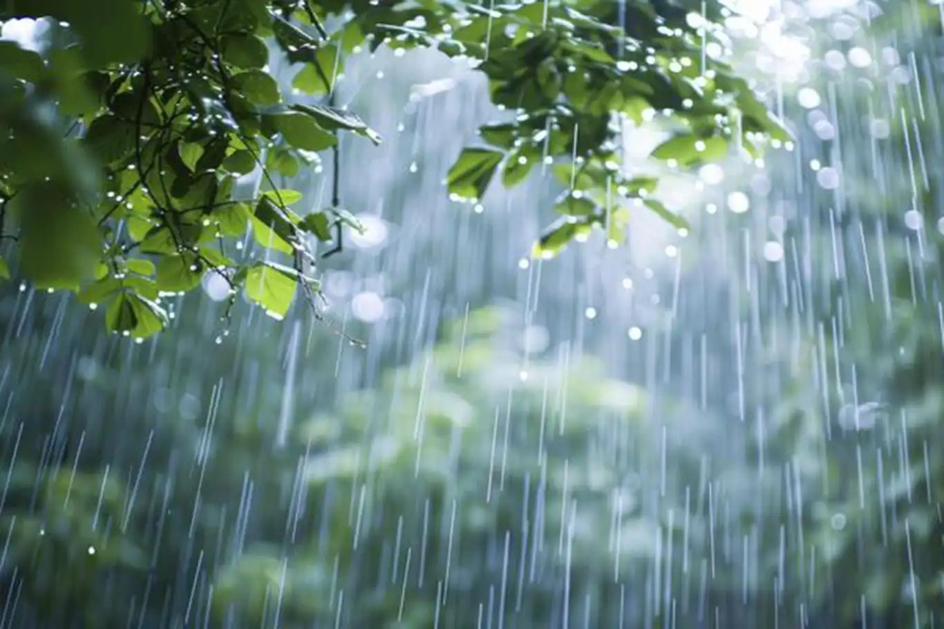 Meteorolojiden 16 il için sarı kodlu alarm! Meteorolojiden 16 il için sarı kodlu alarm!