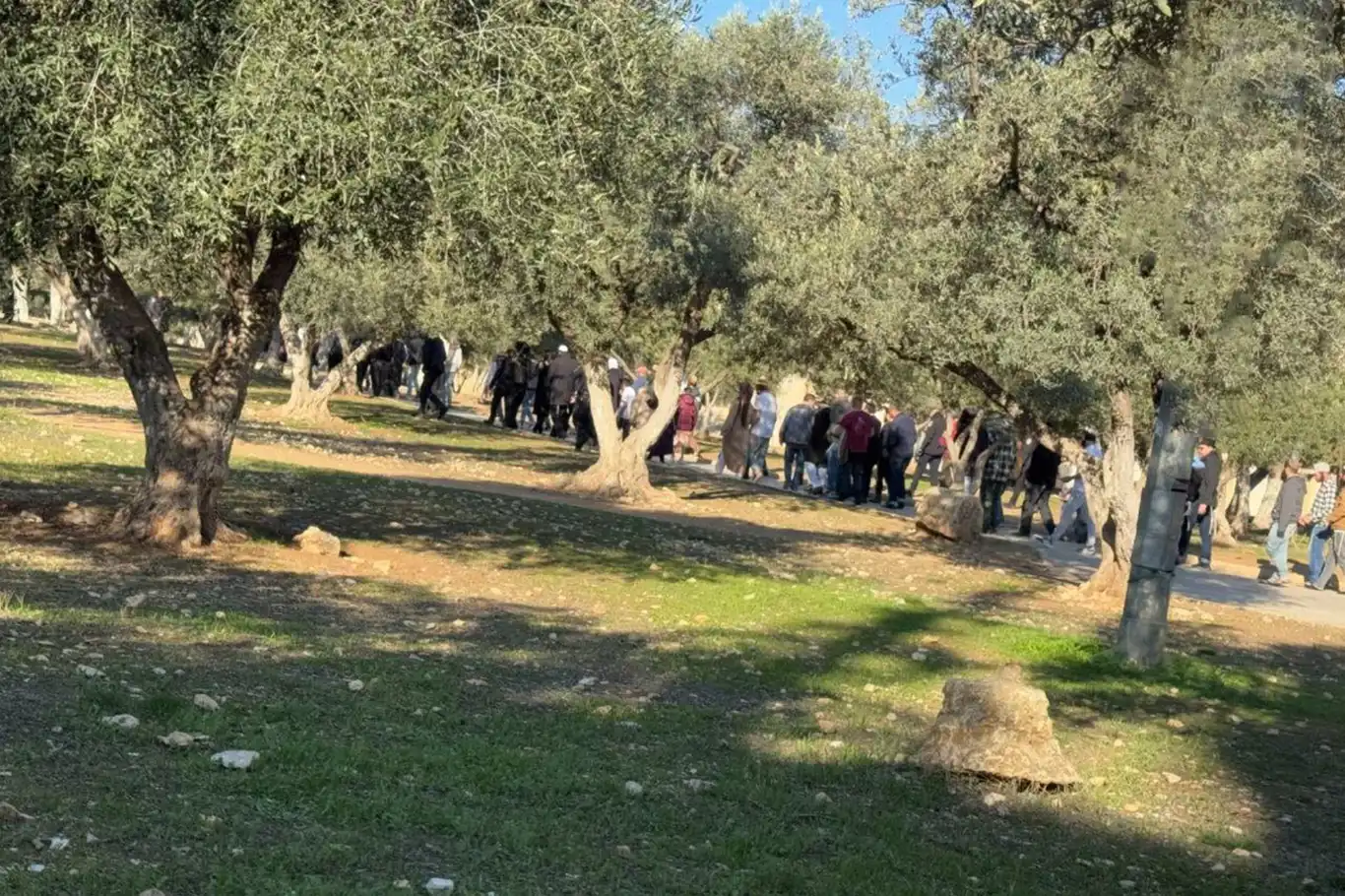 Yahudi çeteler Mescid-i Aksa'ya baskın düzenledi Yahudi çeteler Mescid-i Aksa'ya baskın düzenledi